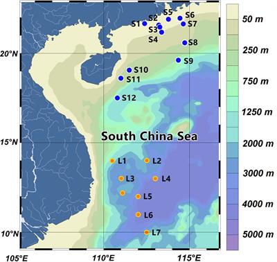 Estimation of primary production from the light absorption of phytoplankton and photosynthetically active radiation in the South China Sea